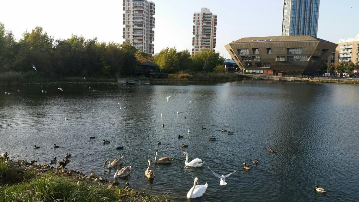 Cozy-chic Riverside 1 Bedroom With Great Transport Links - Perfect For Long Appartement Londres